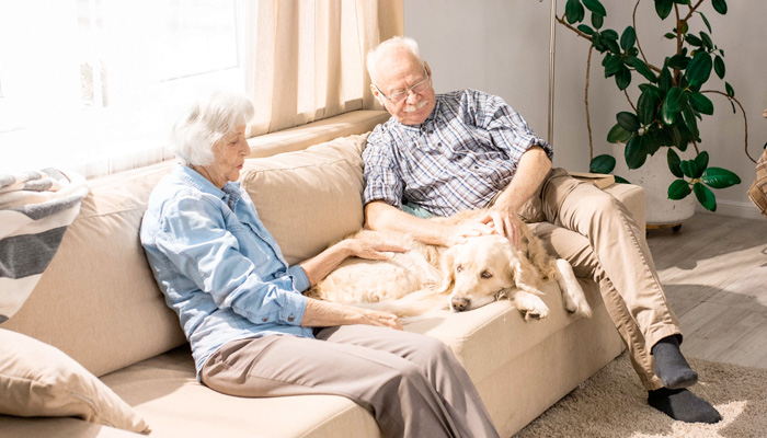 Full length portrait of happy senior couple cuddling with dog sitting on couch in sunlight copy space
